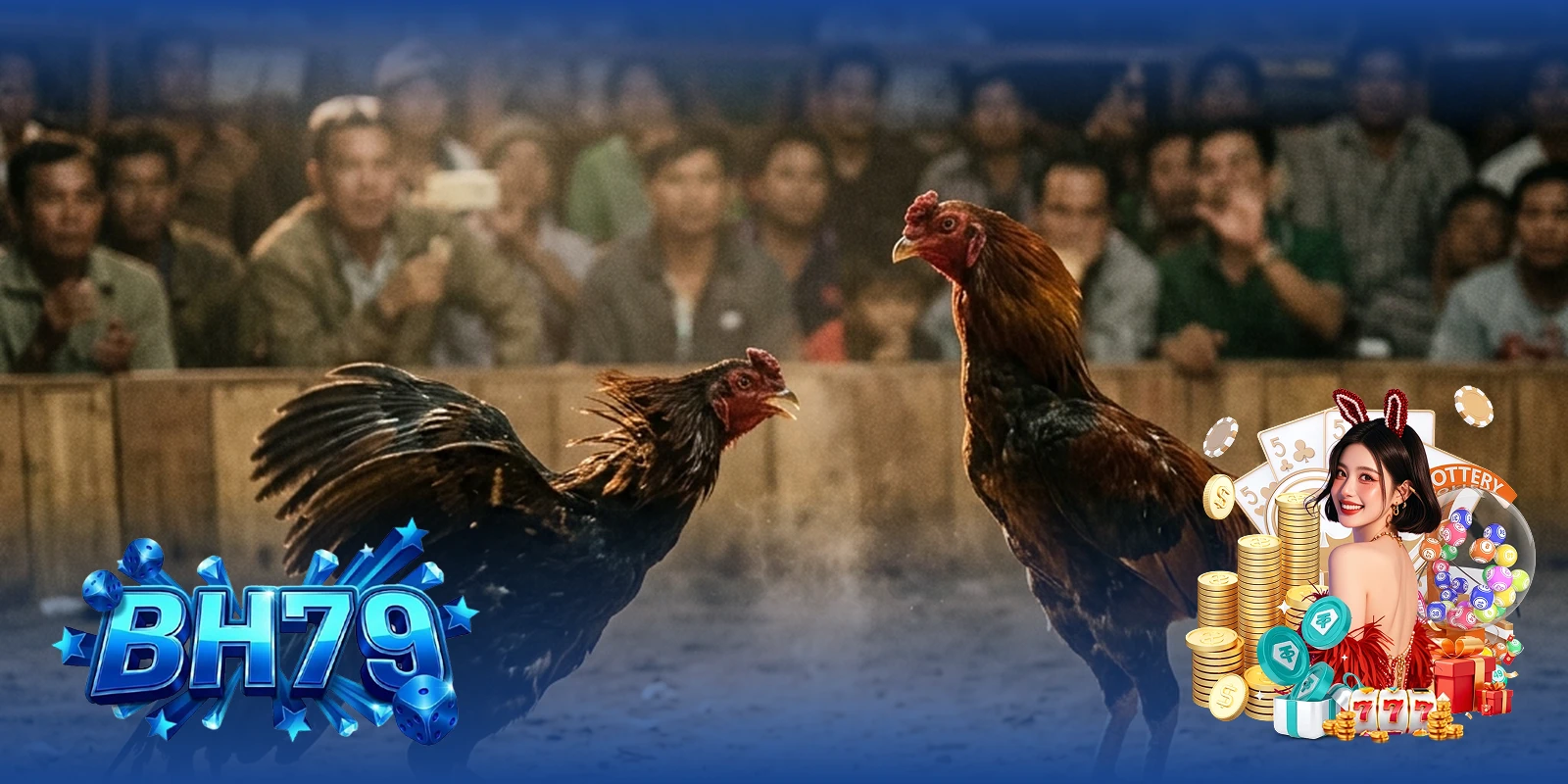 Gà Long Bình vs Thái Phi tại CPC BH79 — Đối đầu đỉnh cao giữa các dòng gà quốc tế