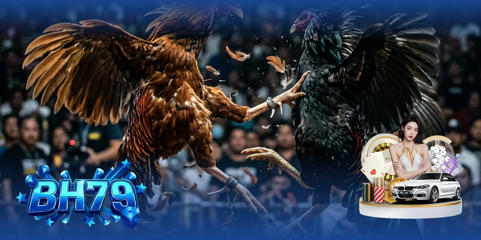 Các loại hình đá gà tại BH79 — Cận cảnh cặp gà chọi đang tung đòn cựa sắt